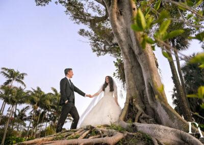 a bride and groom near a tree on our south florida golf course
